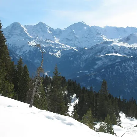 Διαμέρισμα Bellevue Berg- Und Seesicht *